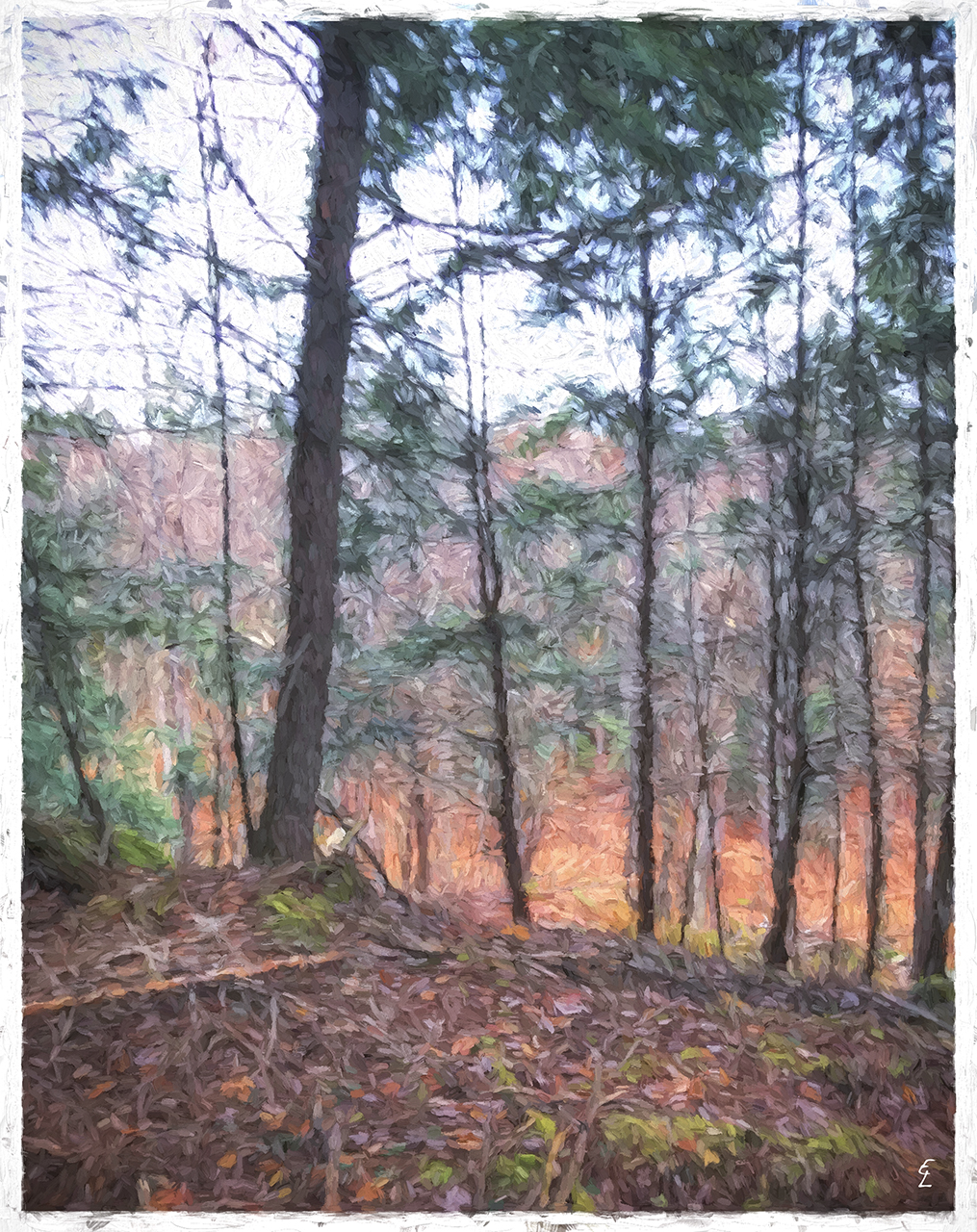 “Across the Valley”