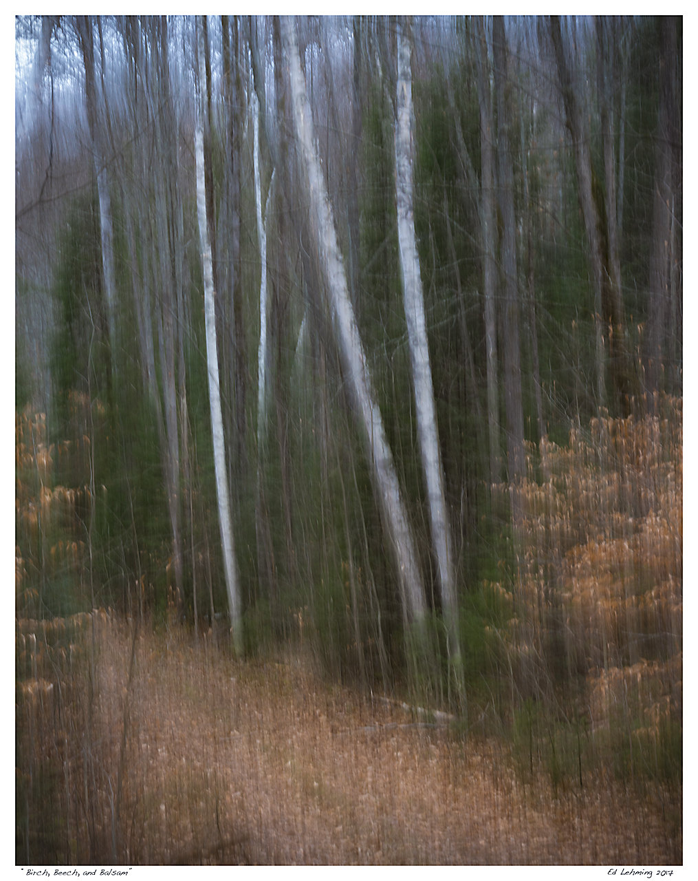 “Birch, Beech, and Balsam”