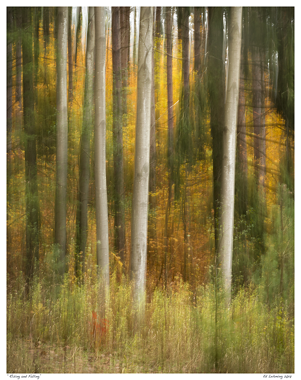 “Rising and Falling”