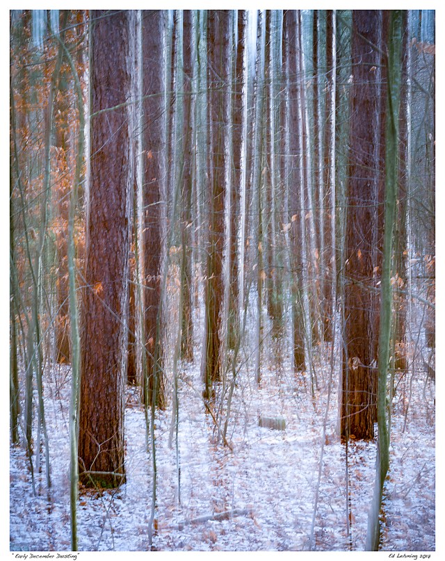 “Early December Dusting”