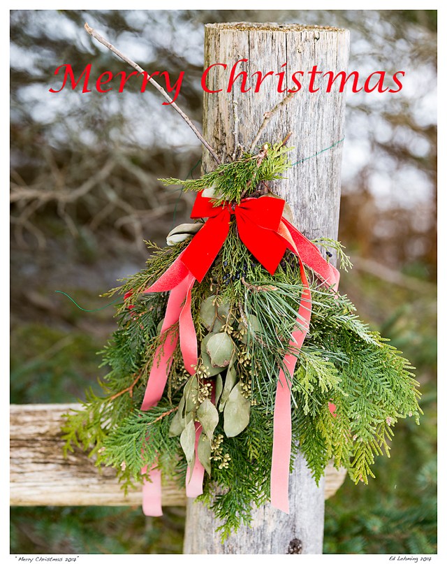 “Merry Christmas 2017”