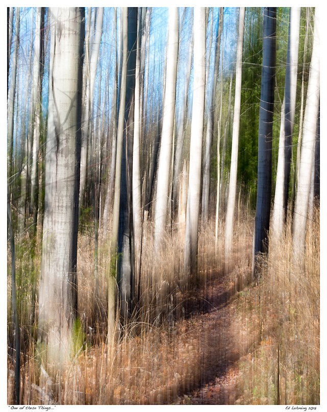 “One of these Things...”