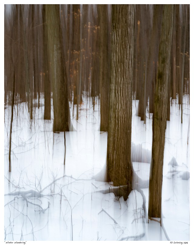“Winter Wandering”