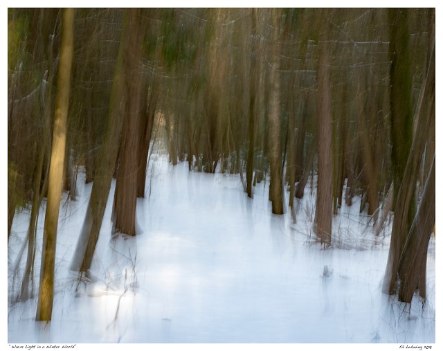 “Warm Light in a Winter World”