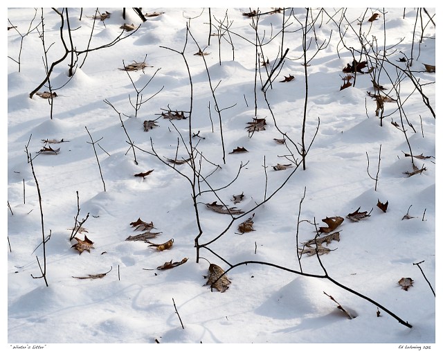 “Winter’s Litter”