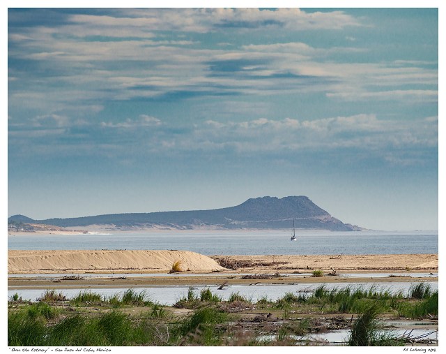 “Over the Estuary” - San Jose del Cabo, Mexico