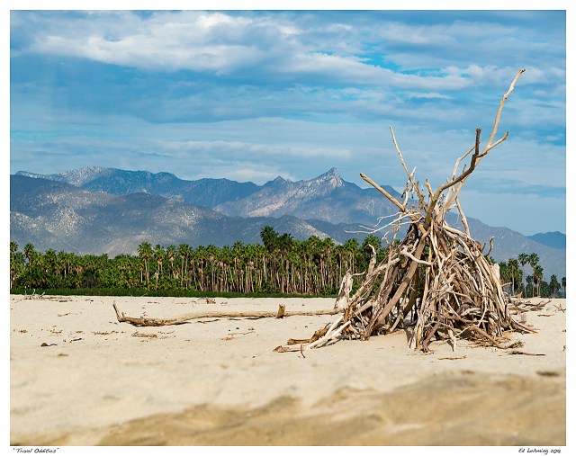 “Travel Oddities”