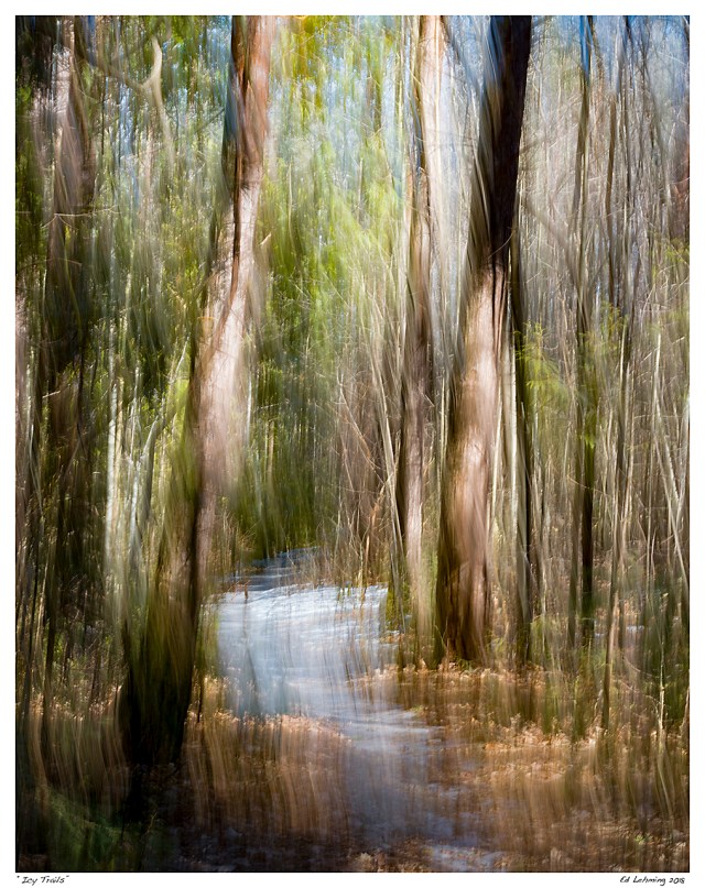 “Icy Trails”