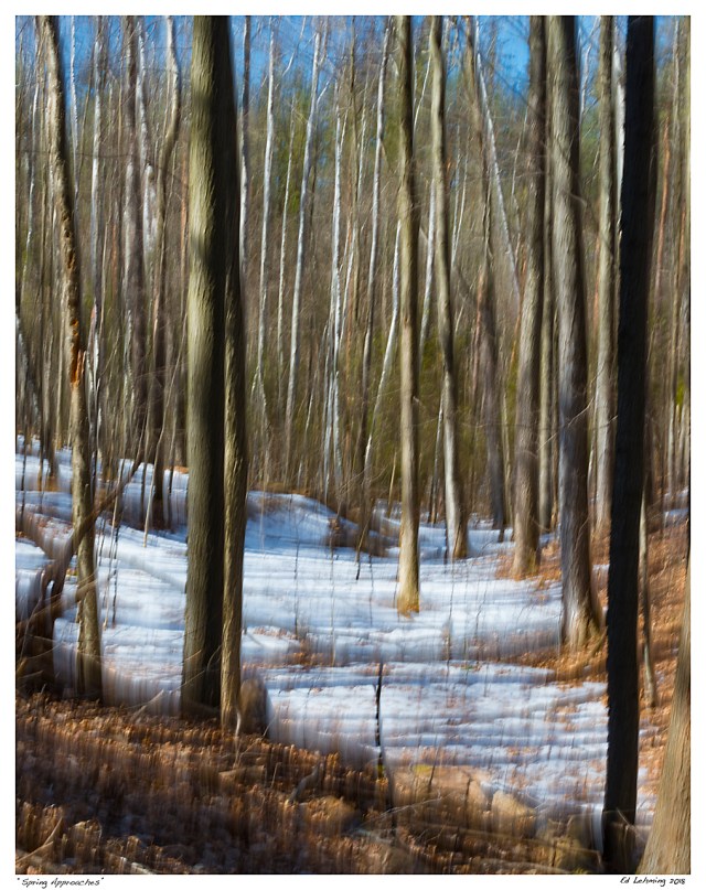 “Spring Approaches”
