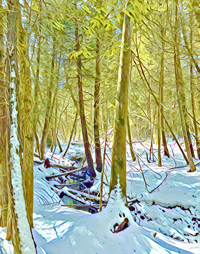 March Creek and Balsams