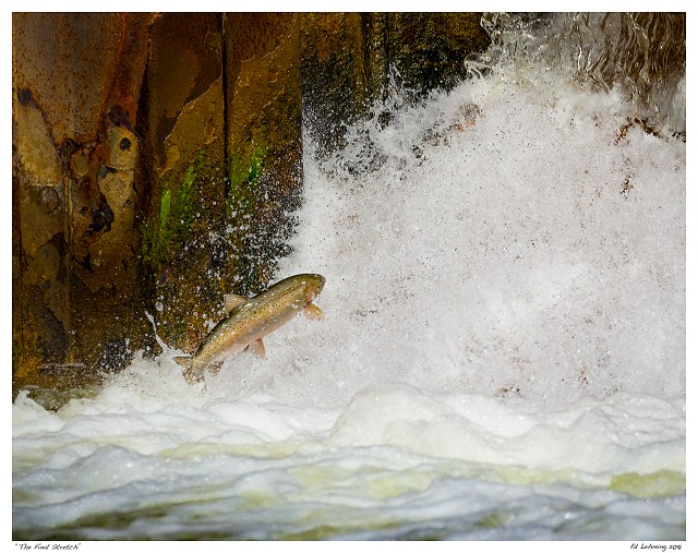 “The Final Stretch”