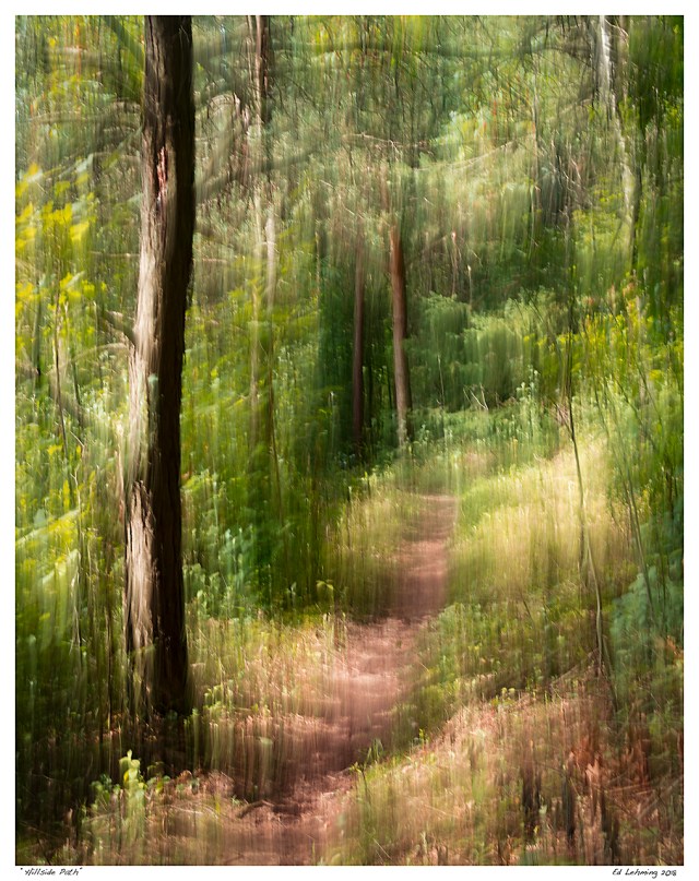 “Hillside Path”