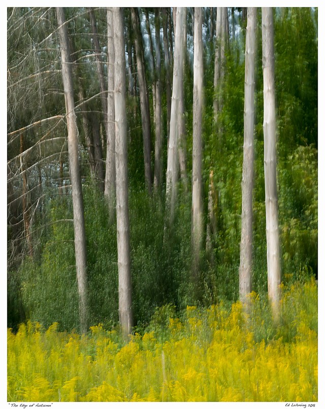 “The Edge of Autumn”