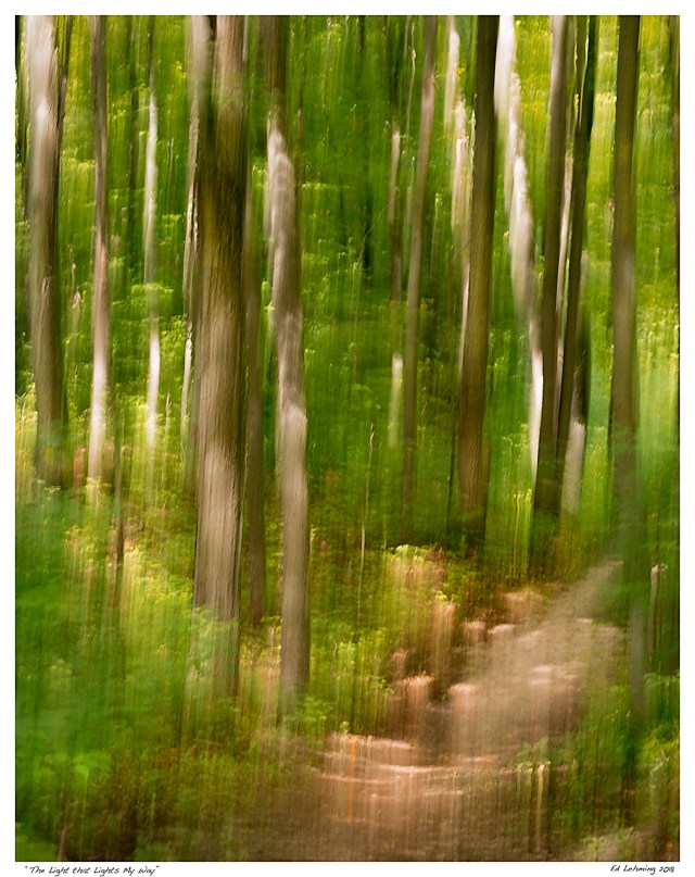 “The Light that Lights My Way”