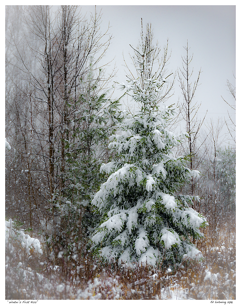 “Winter’s First Kiss”