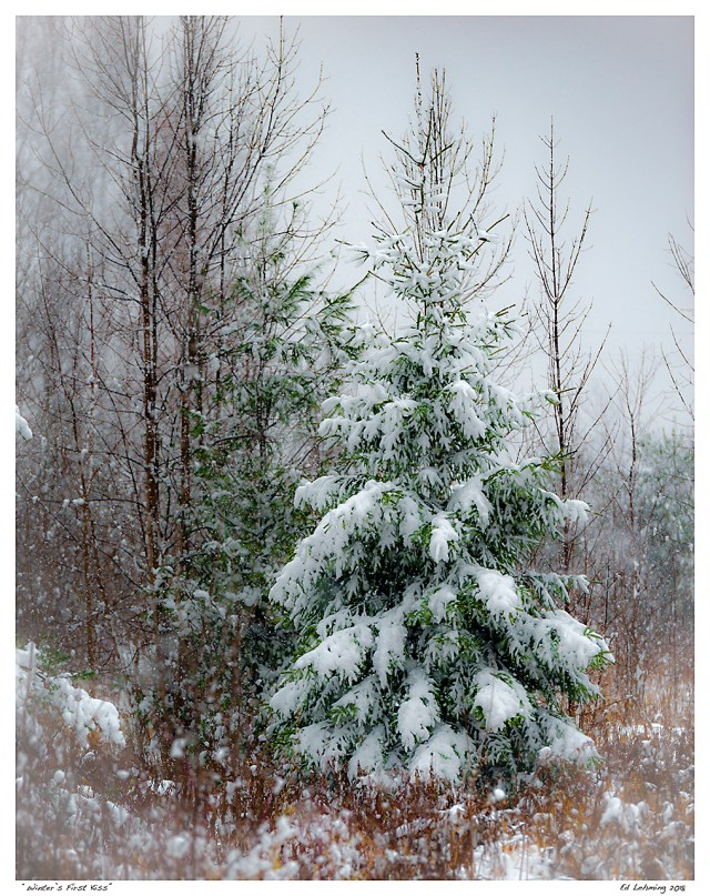 “Winter’s First Kiss”