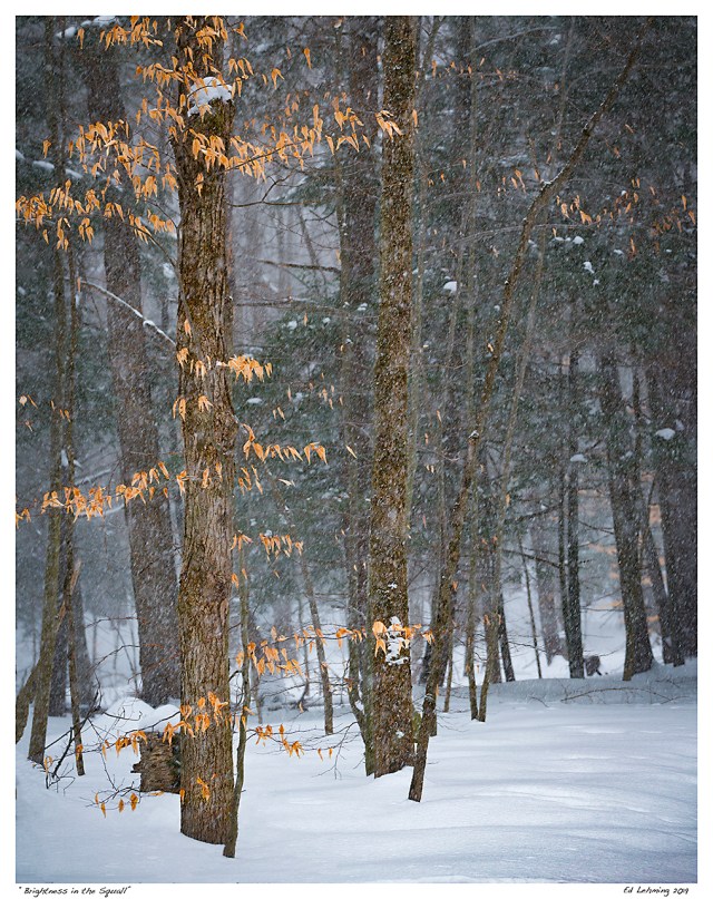 “Brightness in the Squall”