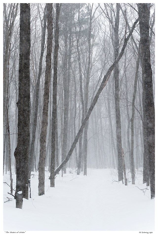 “The Shades of Winter”