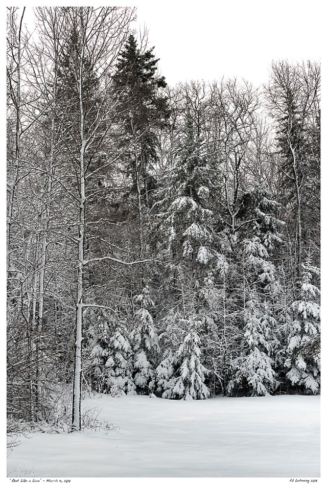 “Out Like a Lion” - March 31, 2019