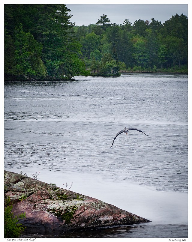 “The One That Got Away”