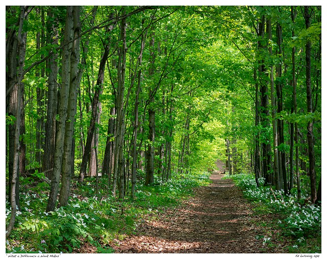 “What a Difference a Week Makes”