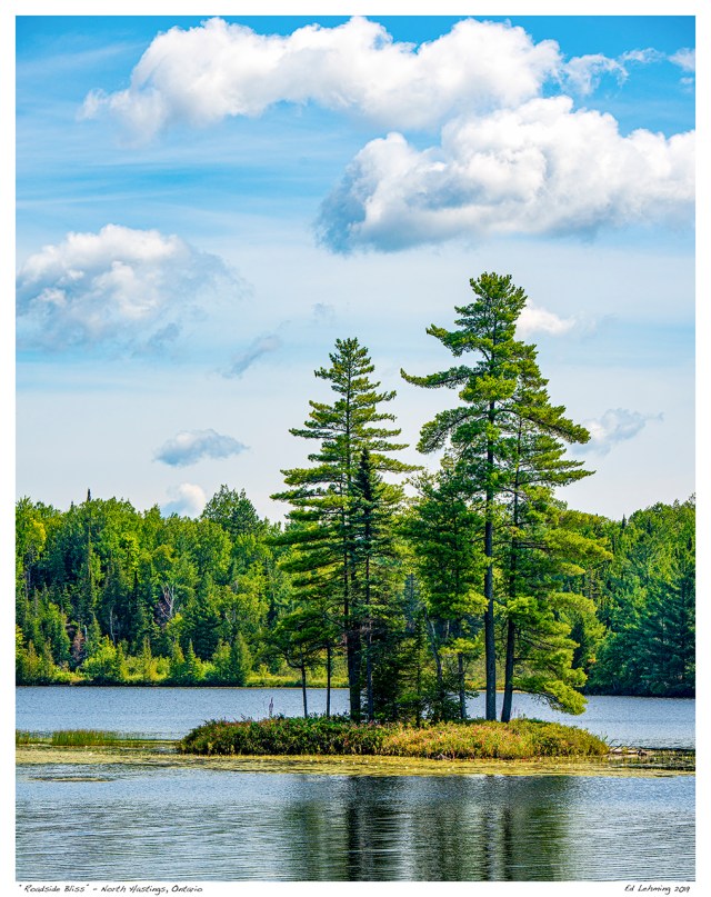 “Roadside Bliss” - North Hastings, Ontario