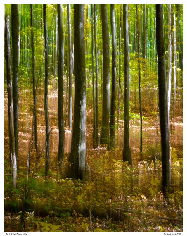 “Bright October Day”