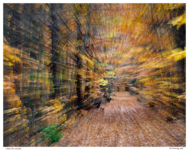 “Into the Woods”