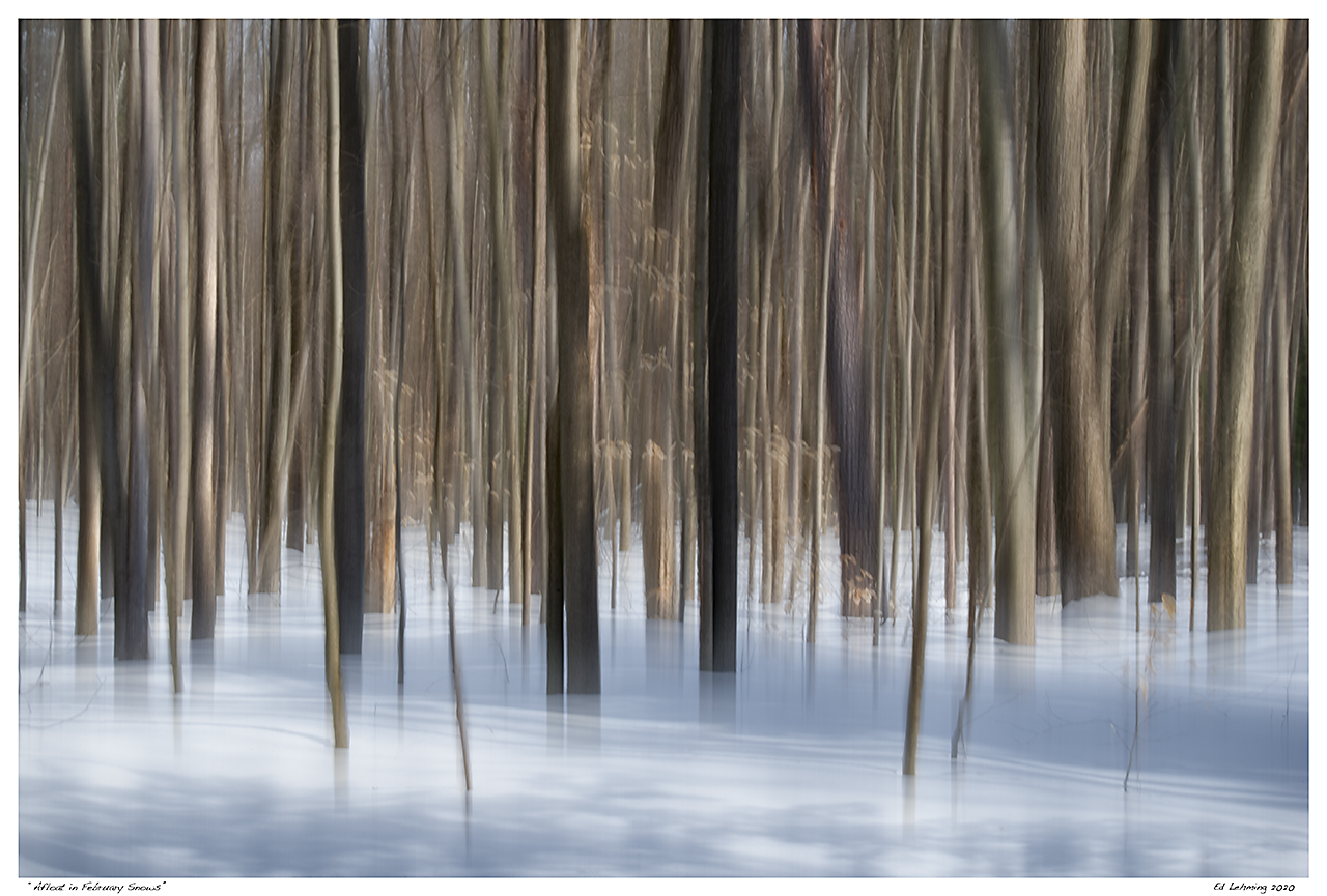 “Afloat in February Snows”