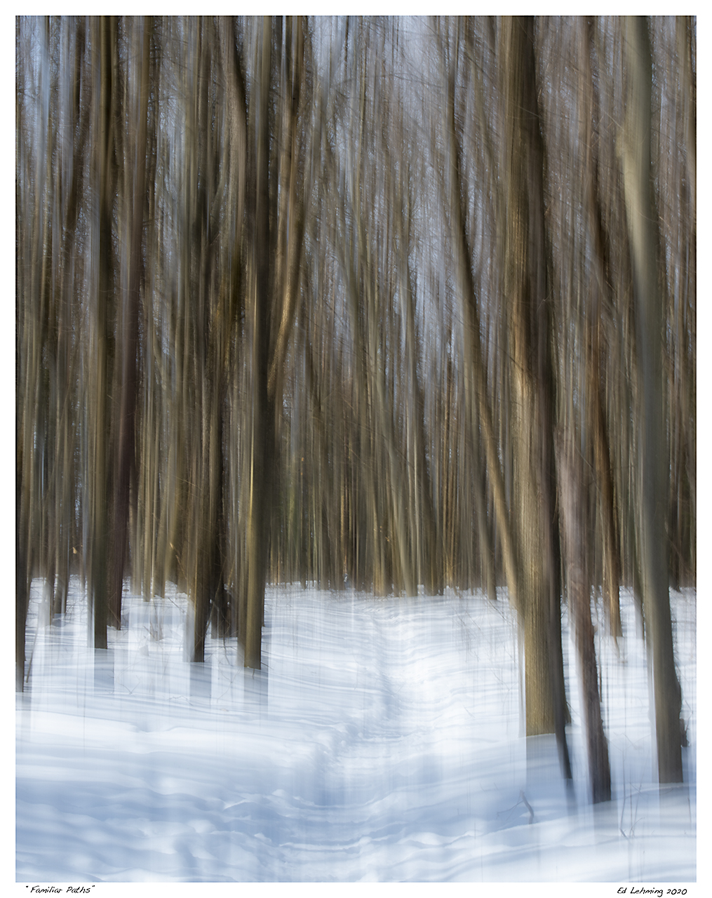 “Familiar Paths”