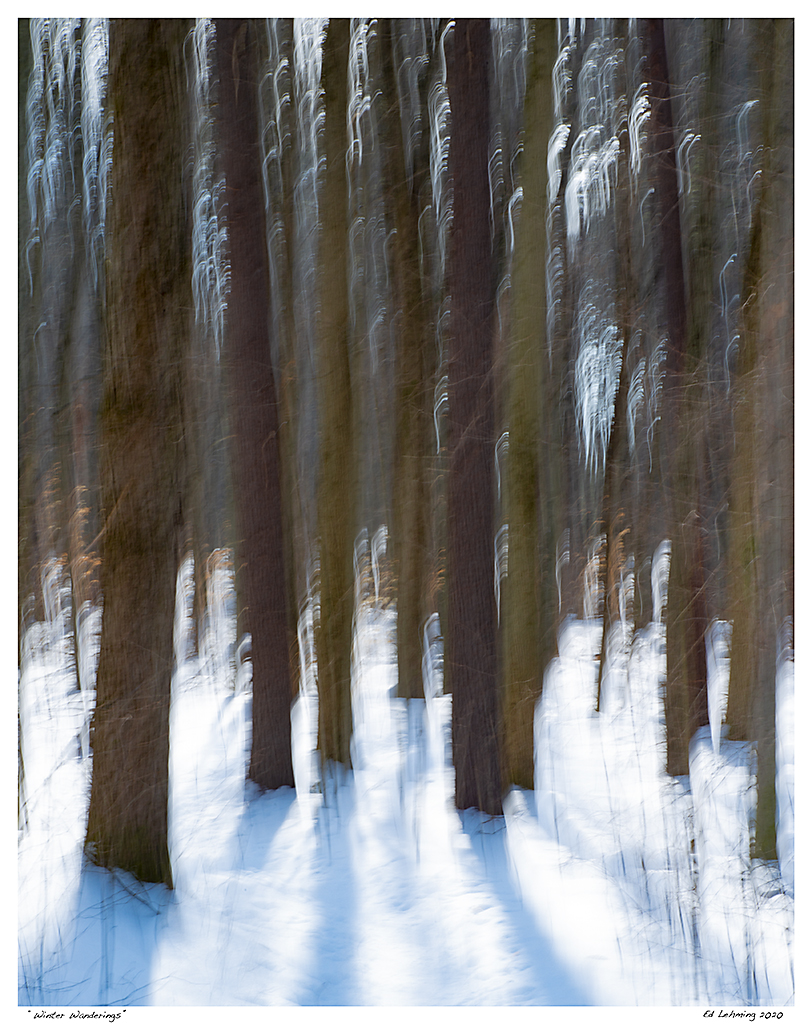 “Winter Wanderings”