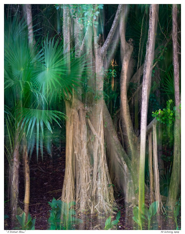 “A Distant Glow”