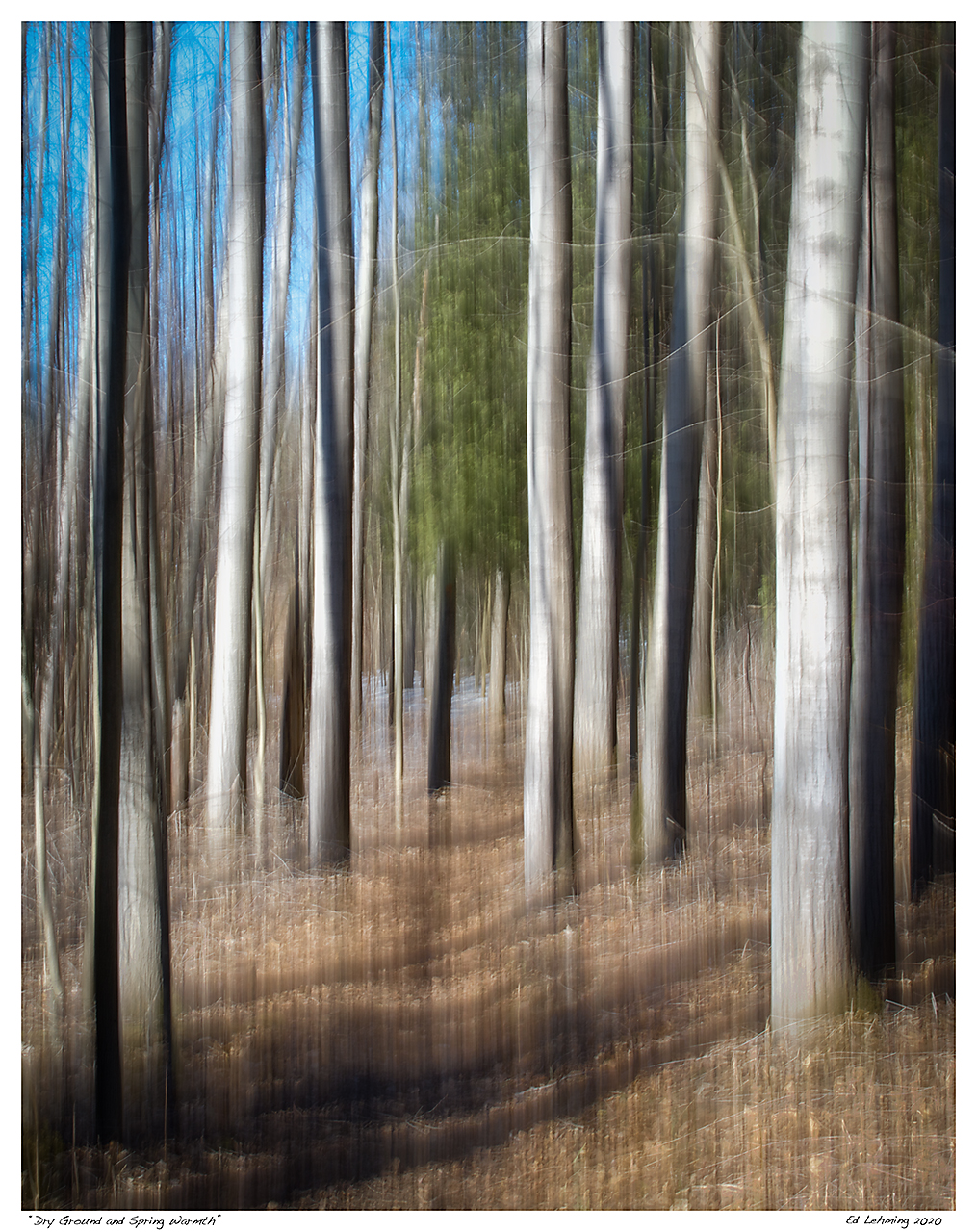 “Dry Ground and Spring Warmth”