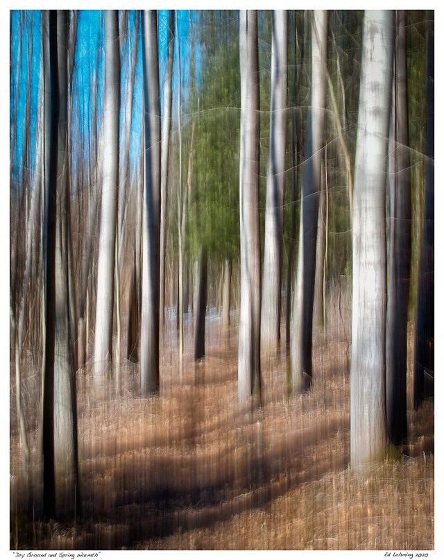“Dry Ground and Spring Warmth”