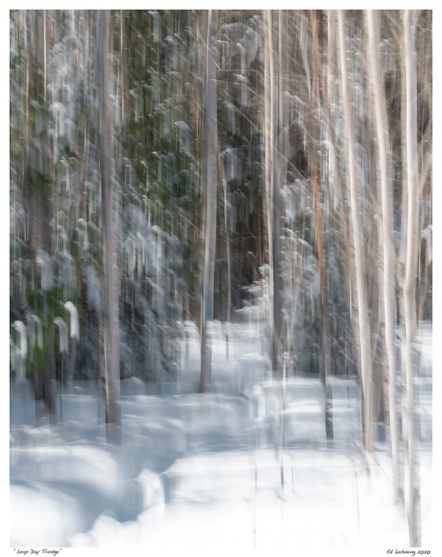 “Leap Day Trudge”