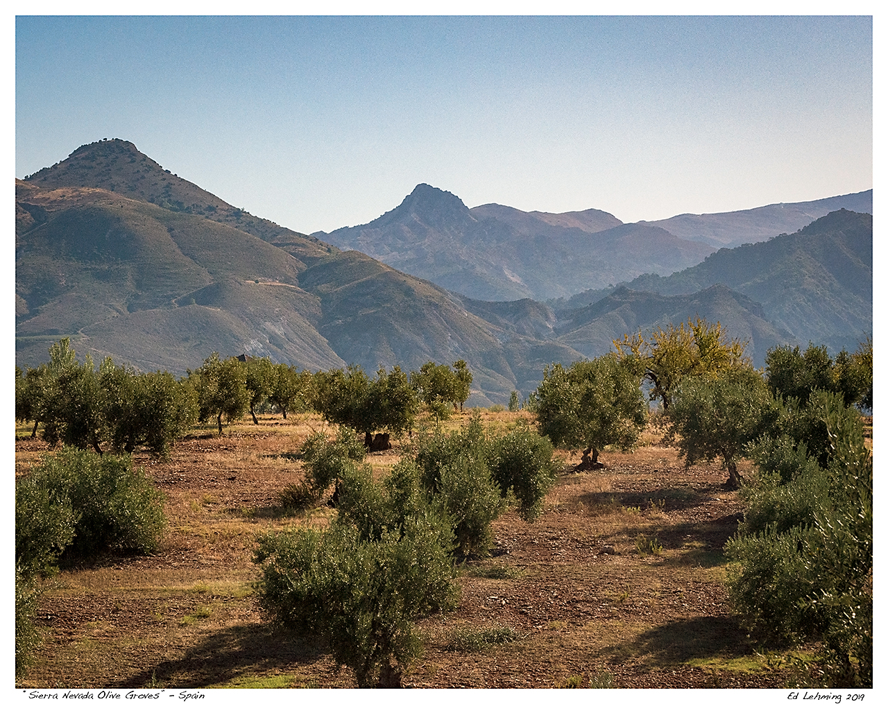 “Sierra Nevada Olive Groves” - Spain