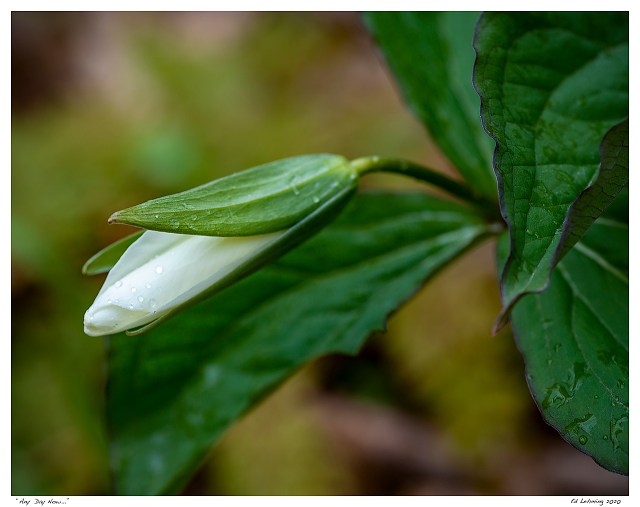 “Any Day Now...”