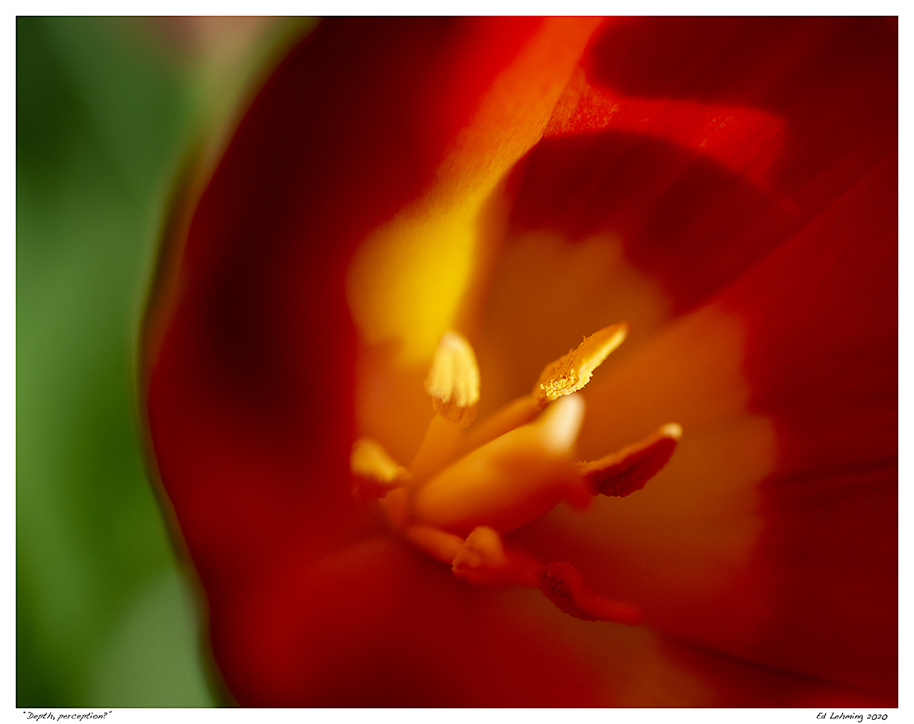 “Depth, perception?”