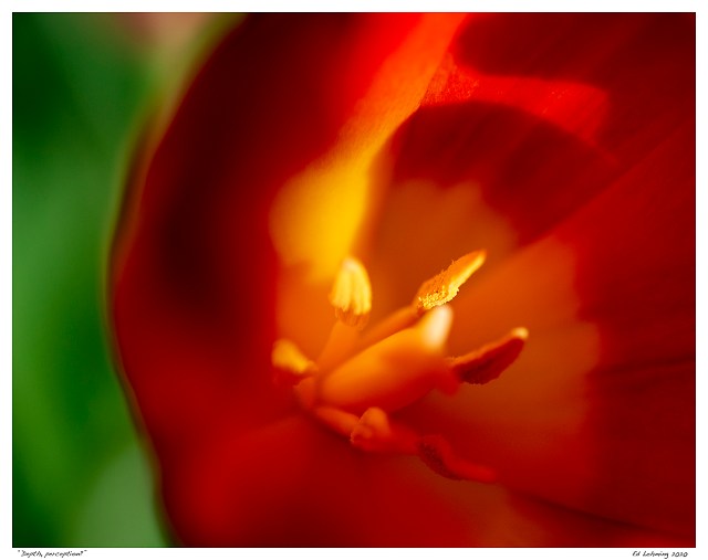 “Depth, perception?”