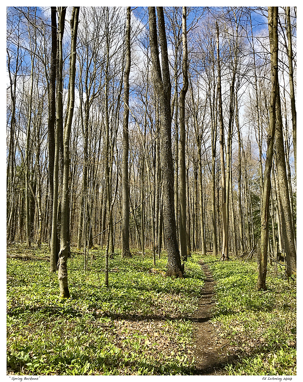 “Spring Beckons”