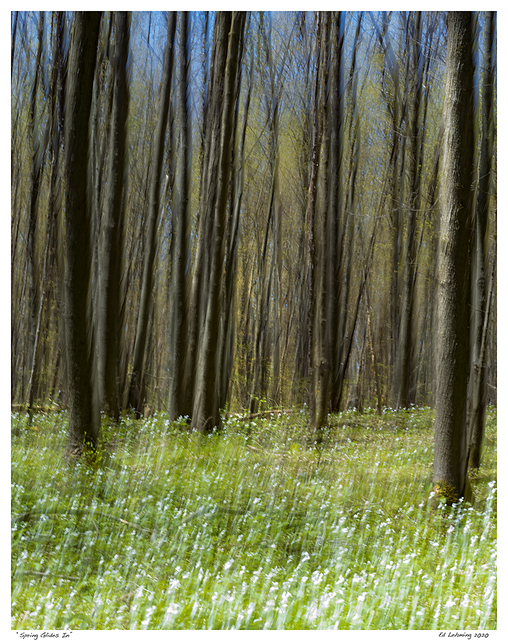 “Spring Glides In”