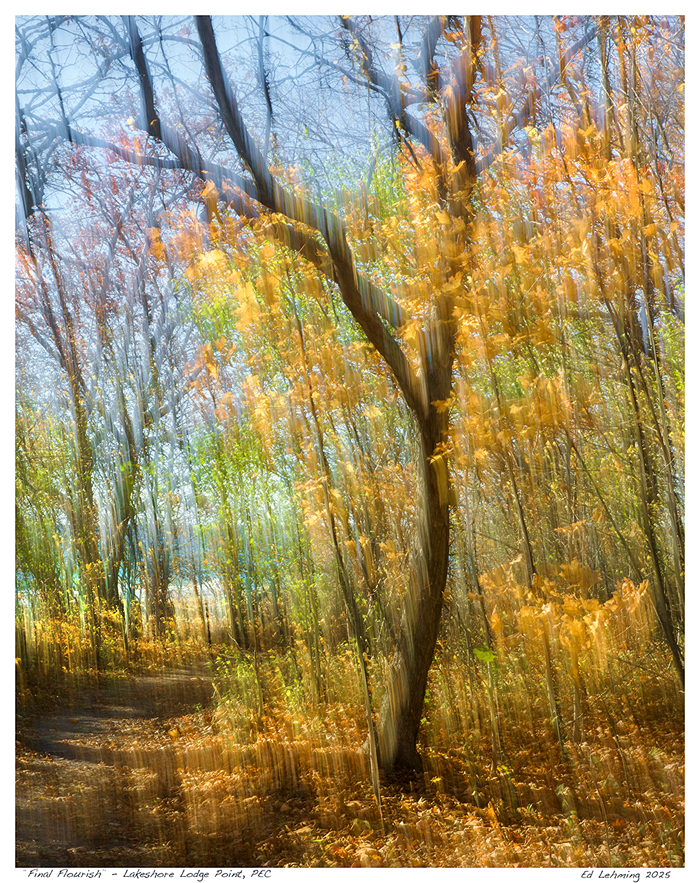 Final Flourish” – Lakeshore Lodge Point, PEC | Ed Lehming Photography