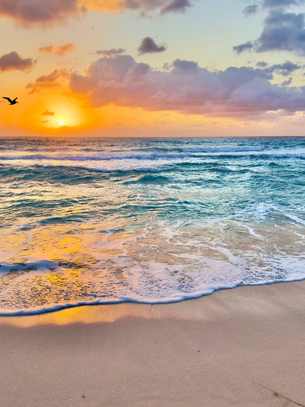 “Memories and Hope”