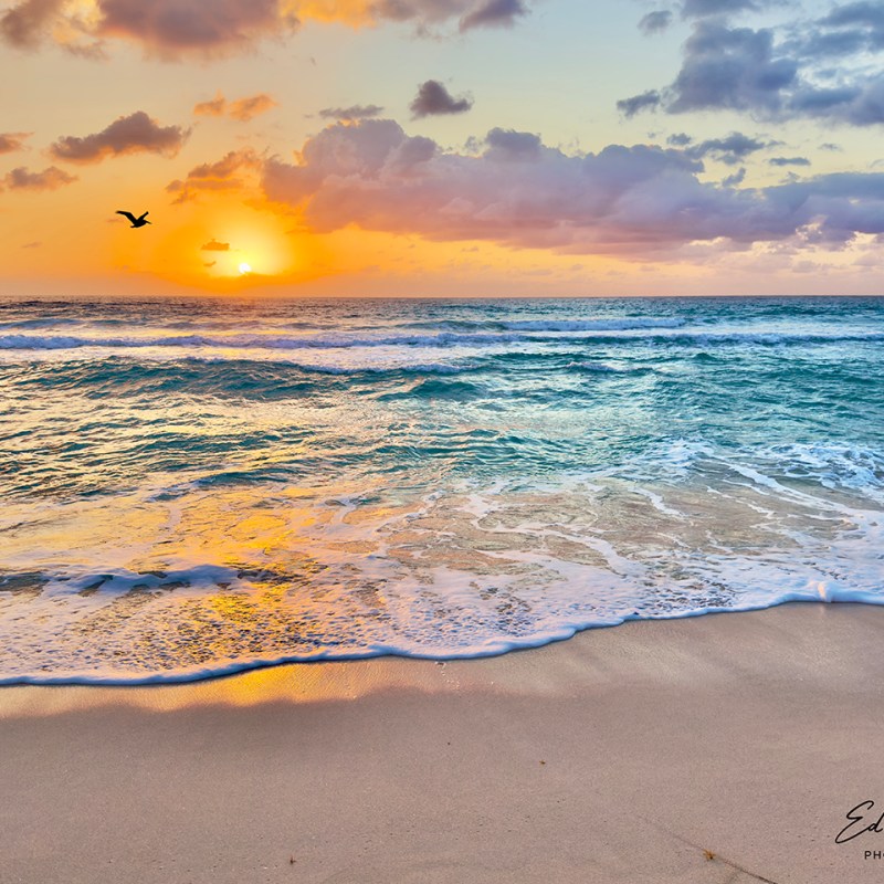 “Memories and Hope”