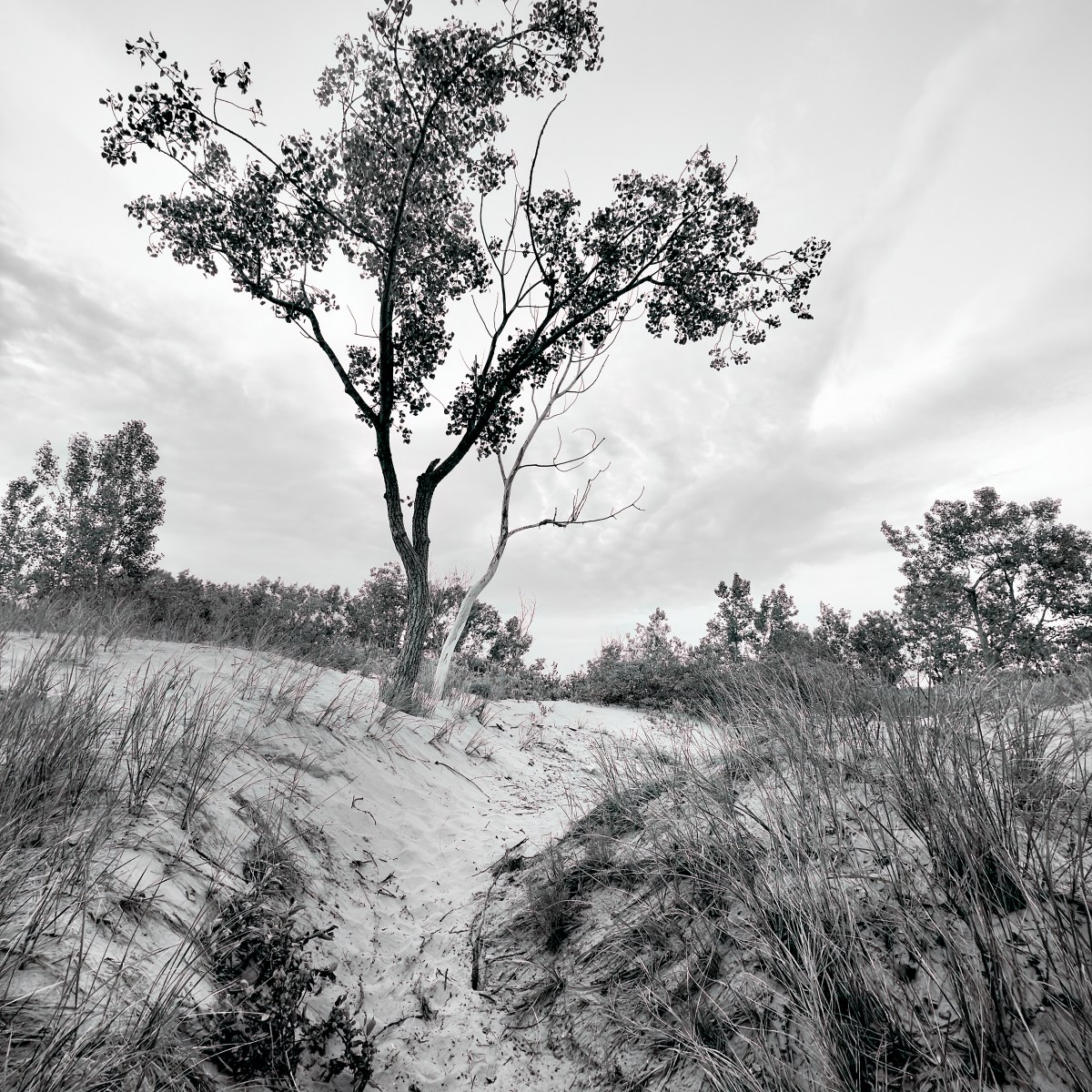 “The Bend” – Lakeshore Beach, Sandbanks Provincial&nbsp;Park