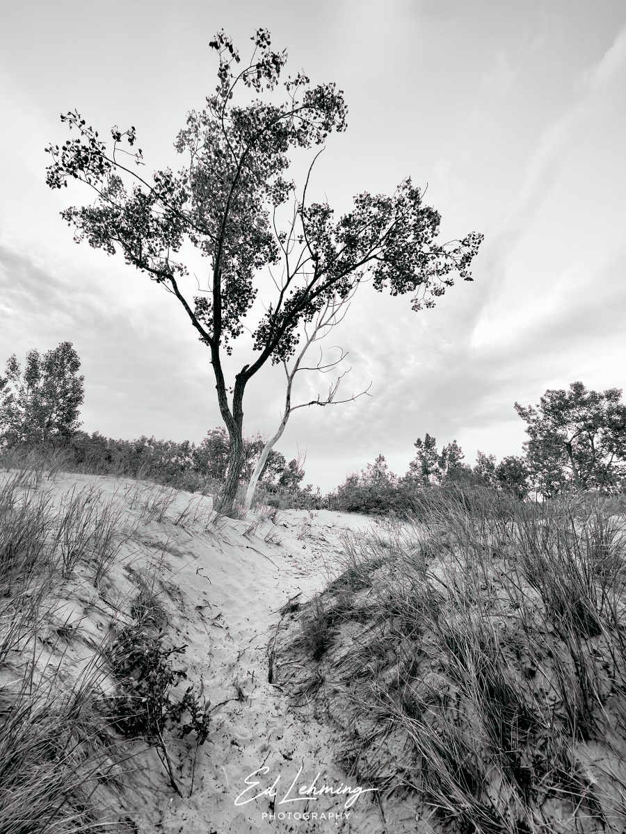 “The Bend” – Lakeshore Beach, Sandbanks Provincial&nbsp;Park