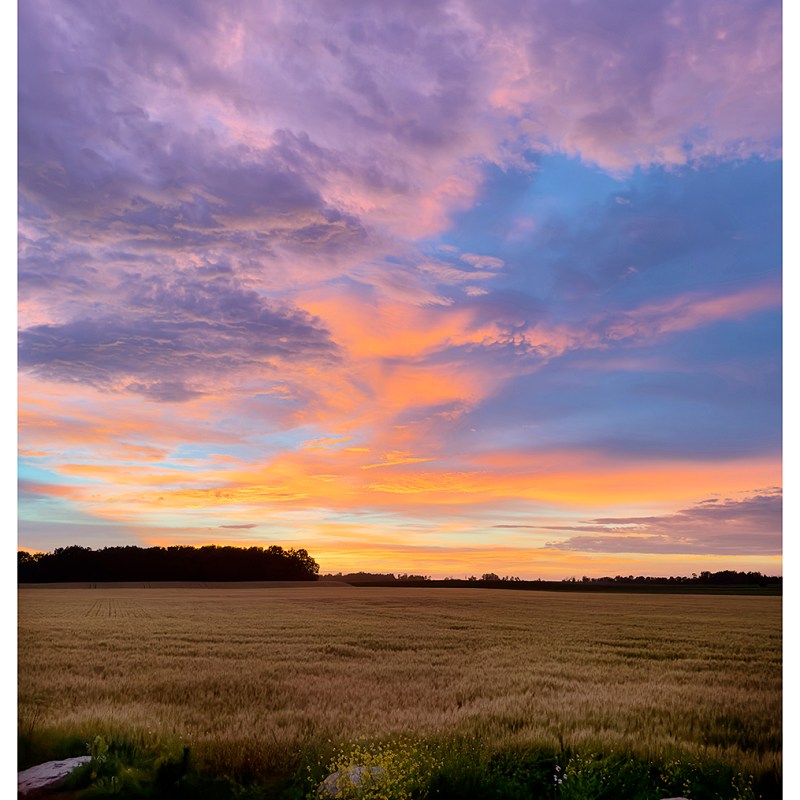“After the Storms” – County Road 34,&nbsp;PEC