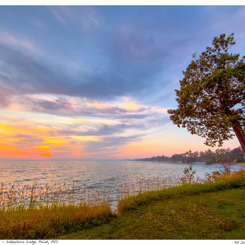 “Facing Dusk” – Lakeshore Lodge Point, Prince Edward&nbsp;County