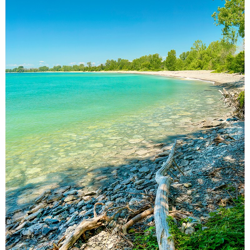 “Solitude” – Prince Edward&nbsp;County