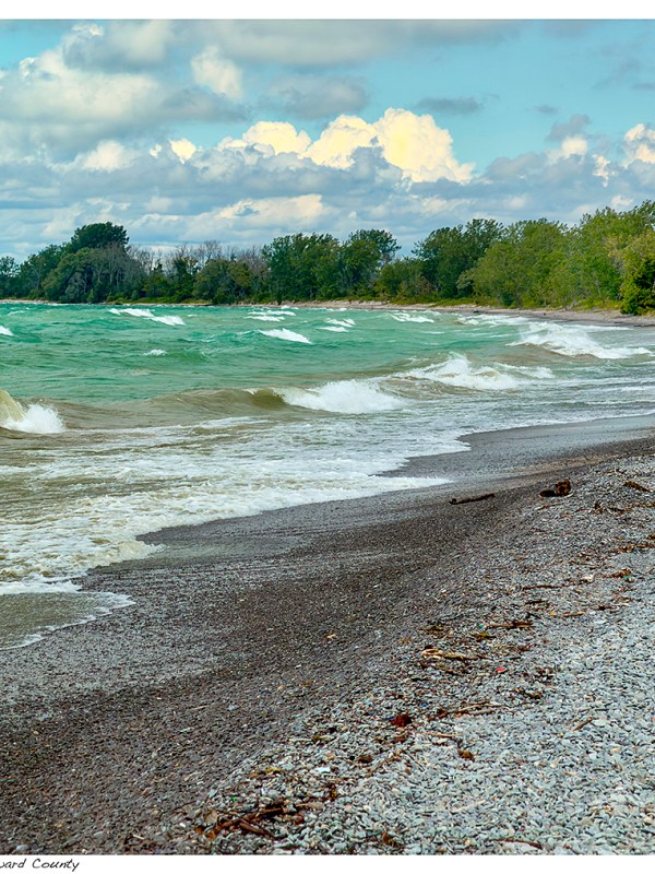 “Wind Whipped” – Prince Edward&nbsp;County
